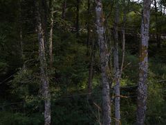 -康定跑马山风景区