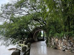 -江心屿景区