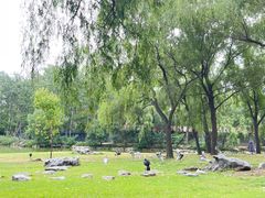 -秦皇岛野生动物园