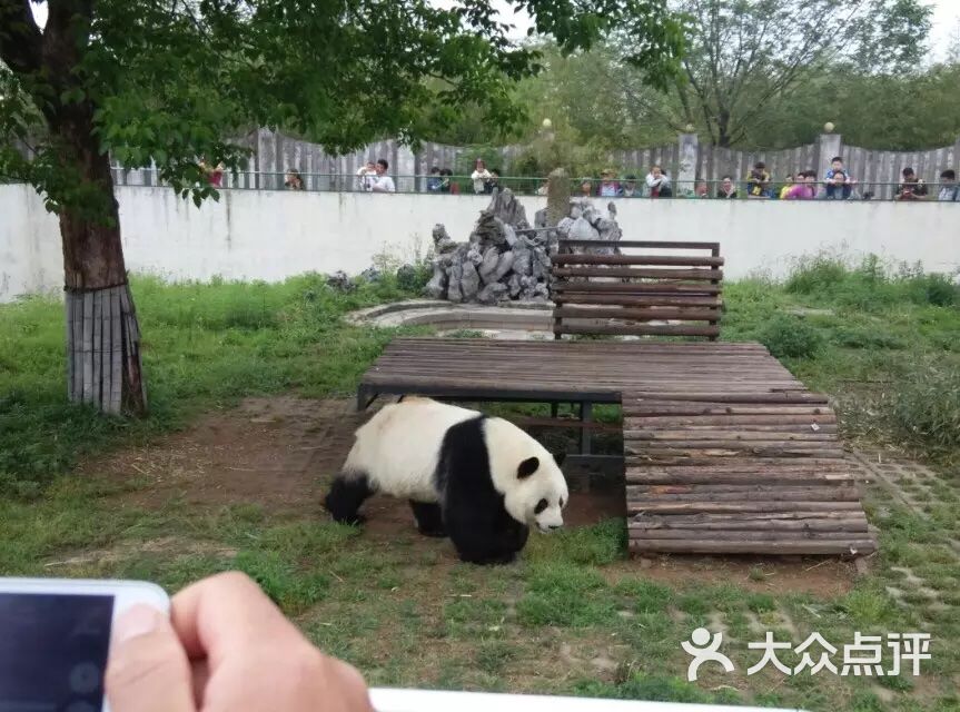 合肥野生動物園