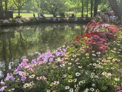 -苏州上方山国家森林公园