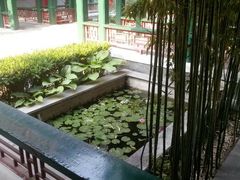 android_upload_pic-北京和园国际青年客栈