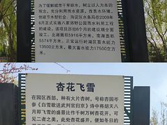 -东升八家郊野公园