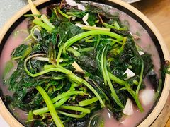 上汤红苋菜-和记菜馆