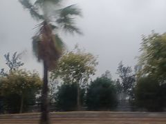 -红树林天天赶海
