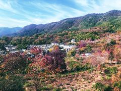 -塔川景区