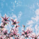 出门下楼去小区里赏春吧！