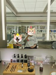 -眉毛先生MrBrow修眉染眉化妆