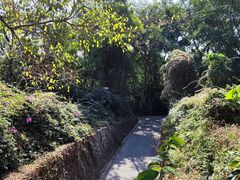 -观澜湖旅游度假区