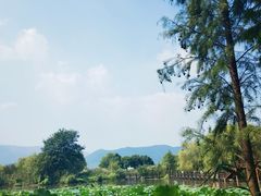 -长兴太湖图影湿地文化园