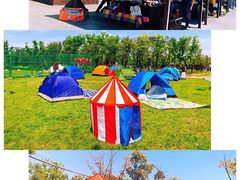 -春花秋色城市公园