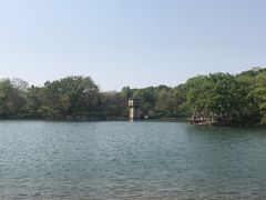 -紫霞湖公园