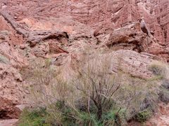 -天山神秘大峡谷