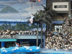 -海合安成都极地海洋公园