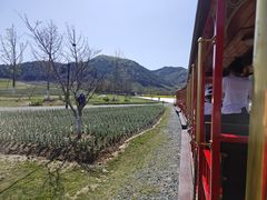 -径山花海