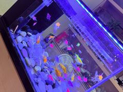 -四季合味椰子鸡(南山大冲店)