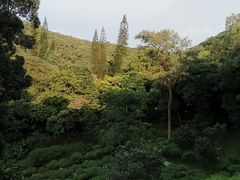 -广州市白云山风景名胜区