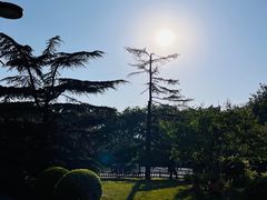 -莲花池公园