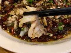 -三猫黑鱼花(南大店)