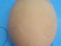 鸡蛋-武汉大学工学部一食堂