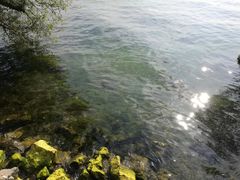 -抚仙湖禄充风景区