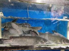 -九佰碗家常菜(华威桥店)