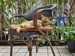 -默迹咖啡馆