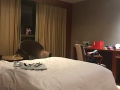 -圣爵菲斯大酒店(长沙世界之窗店)