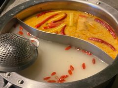-马家斑.鲜鱼火锅(松湖万科店)