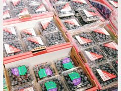 -城市批发中心(芙蓉汉城店)