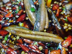 石锅鳝鱼-乐氏荤豆花