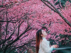 -重庆彩云湖湿地公园