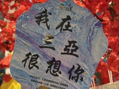 -三亚红色娘子军演艺公园景区