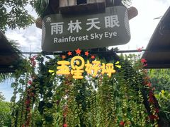-海南槟榔谷黎苗文化旅游区