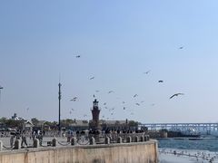 -星海广场