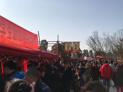 -秀丽东方