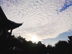 -台儿庄古城