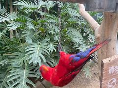 -南宫五洲植物乐园