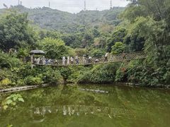 -青青世界