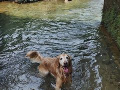 -华蓥山天意谷景区