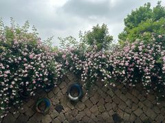 -滆湖低碳生态公园