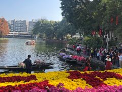 -越秀西湖花市(广州城市广场花卉店)