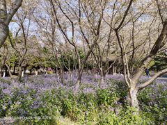 -白塘生态植物园