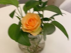 -洛阳宴·洛阳菜(南昌路店)