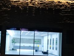 -端艾堂·SPA·艾灸(棕榈泉013店)