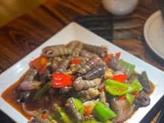 -土蚝·高压锅生蚝(百姓美食街店)