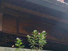 -前童古镇