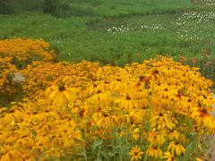 -长春公园(普阳街道)