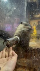 -Zoolung Zoolung动物主题公园(海信广场店)