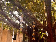 -人民公园(罗湖区)